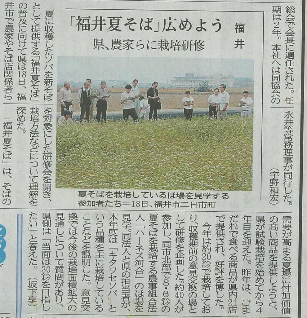 福井夏そば現地視察の様子が福井新聞2014.6.19に掲載されていました。