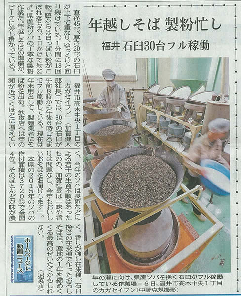 年越しそば製粉大忙しの様子を福井新聞に取材いただきました。[2016.12.7]