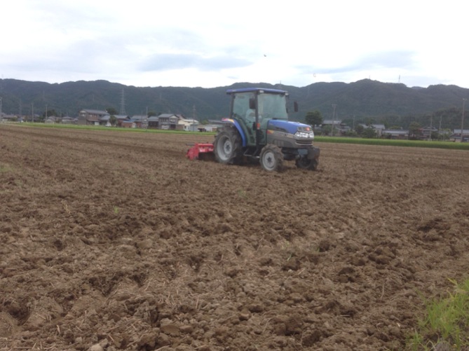 緑色した早刈り蕎麦で有名な産地となった坂井市丸岡町では、8月初旬に播種が始まりました。