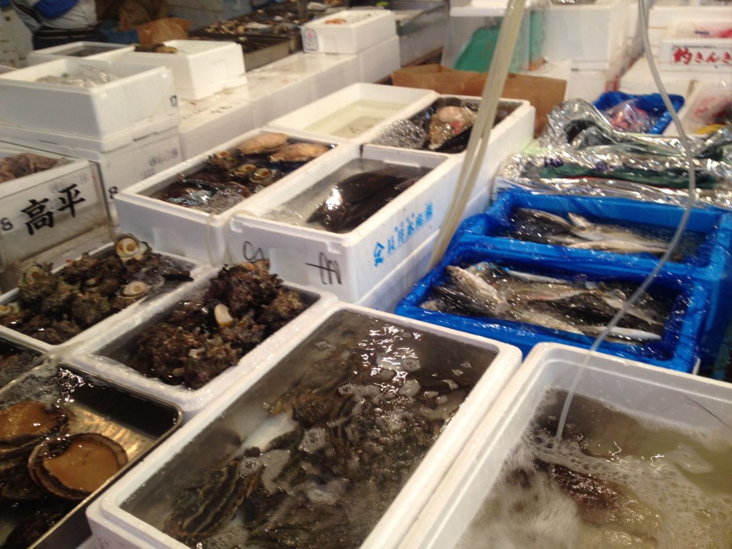 そば粉屋6代目は、築地魚河岸で日本中から集まる食材に感動しました。