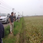 7月初旬に収穫予定の「福井夏の新そば（春まき夏そば）」現地視察にて、圃場見学や栽培方法、取り組みについてお聞きしました。